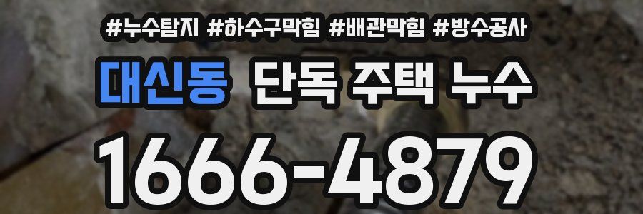 대신동 단독 주택 누수