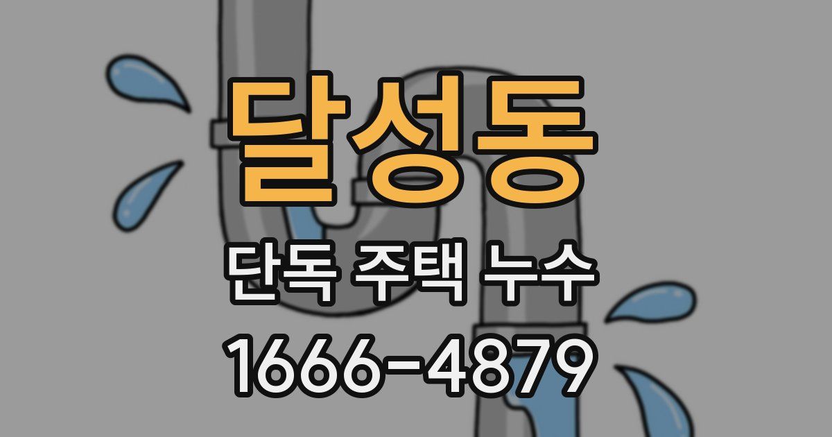 달성동 단독 주택 누수