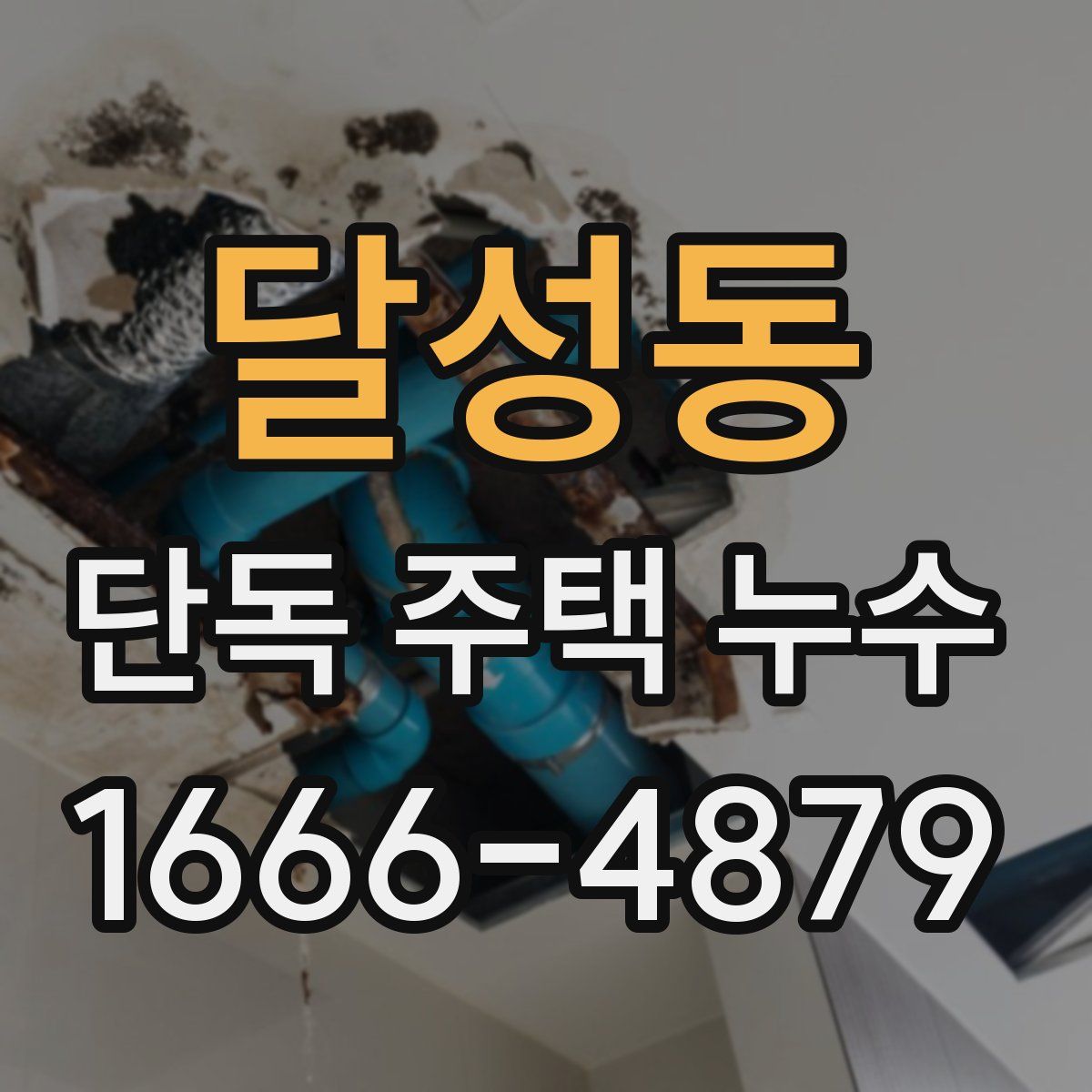 달성동 단독 주택 누수