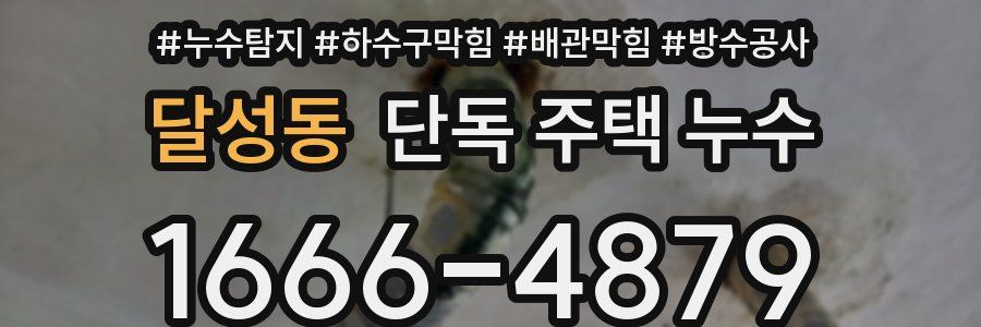 달성동 단독 주택 누수