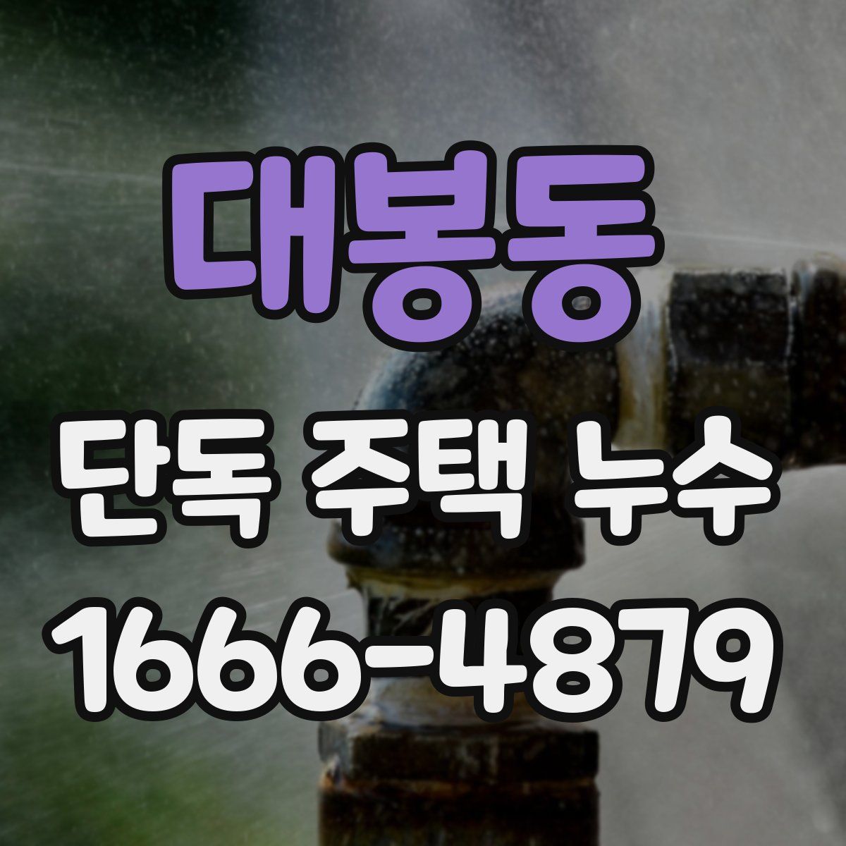 대봉동 단독 주택 누수