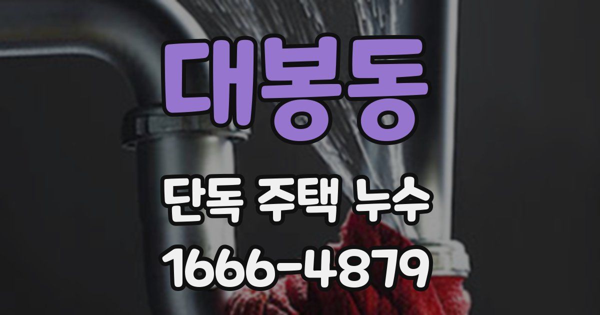 대봉동 단독 주택 누수