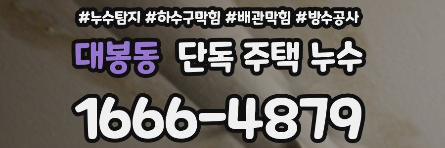 대봉동 단독 주택 누수