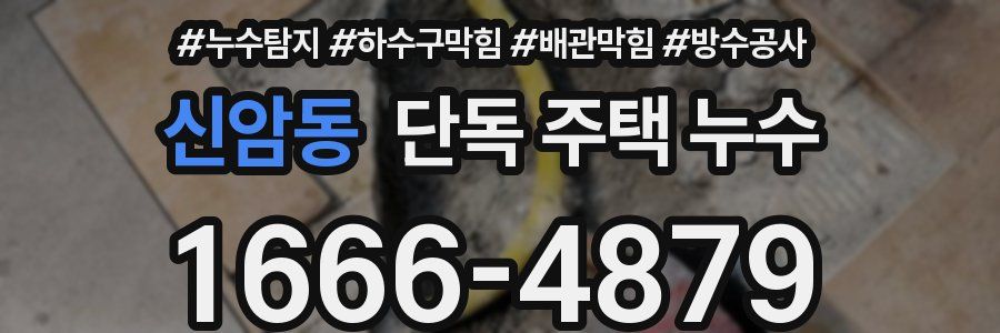 신암동 단독 주택 누수
