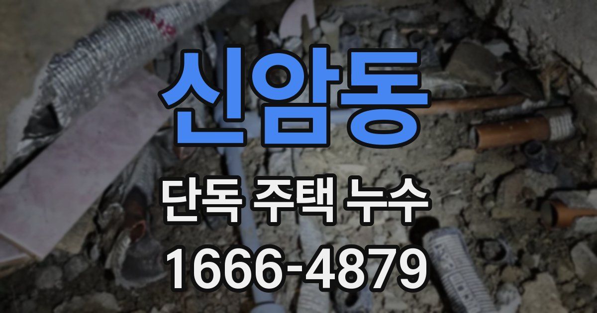신암동 단독 주택 누수