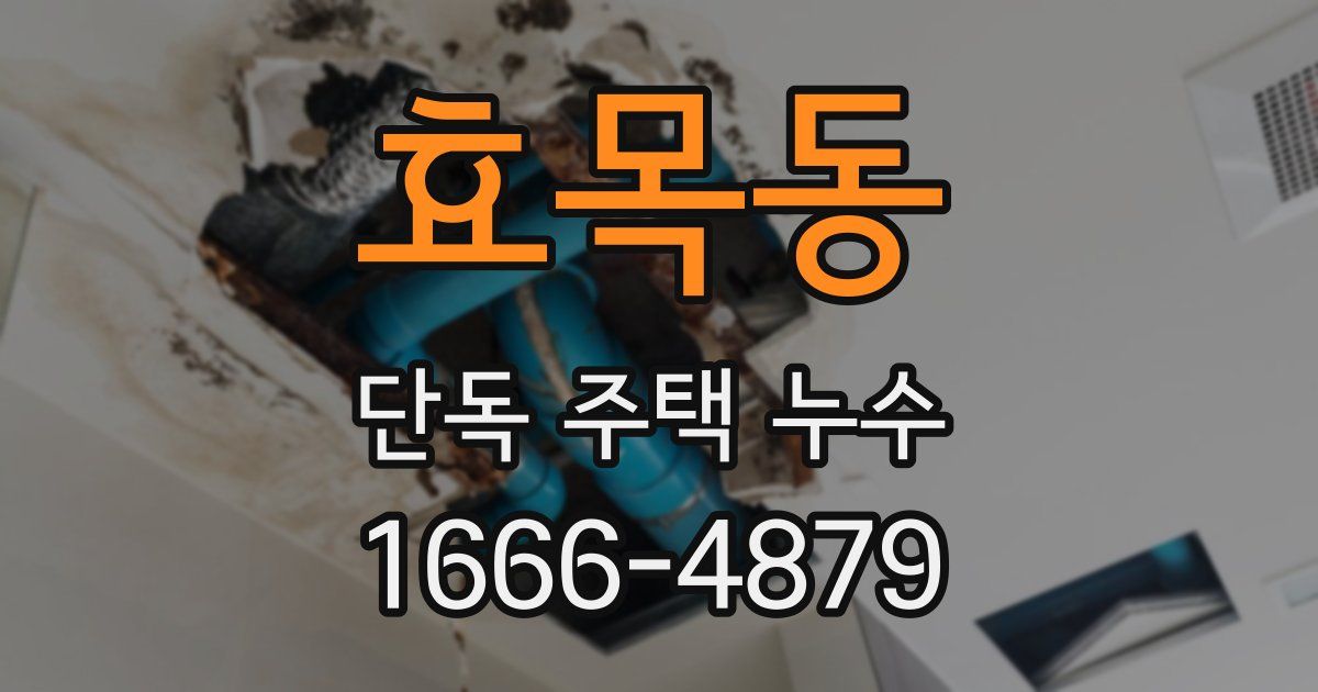 효목동 단독 주택 누수
