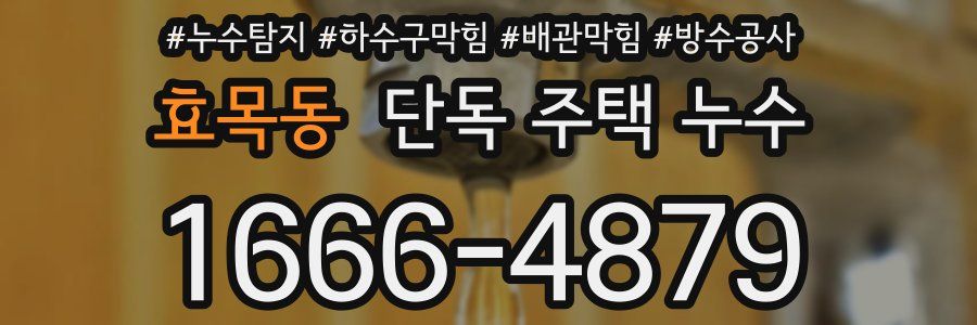 효목동 단독 주택 누수