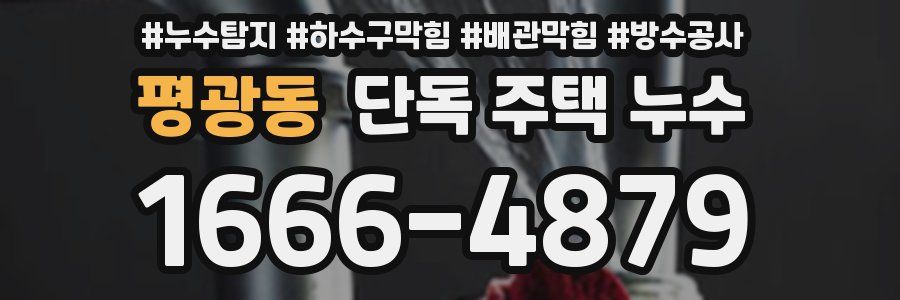 평광동 단독 주택 누수