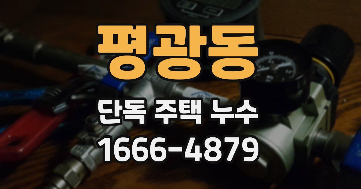 평광동 단독 주택 누수