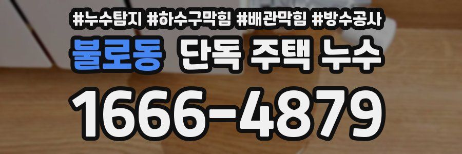 불로동 단독 주택 누수