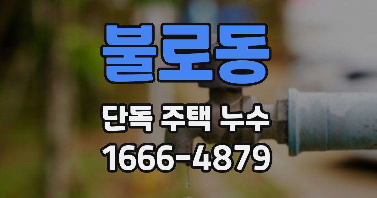 불로동 단독 주택 누수
