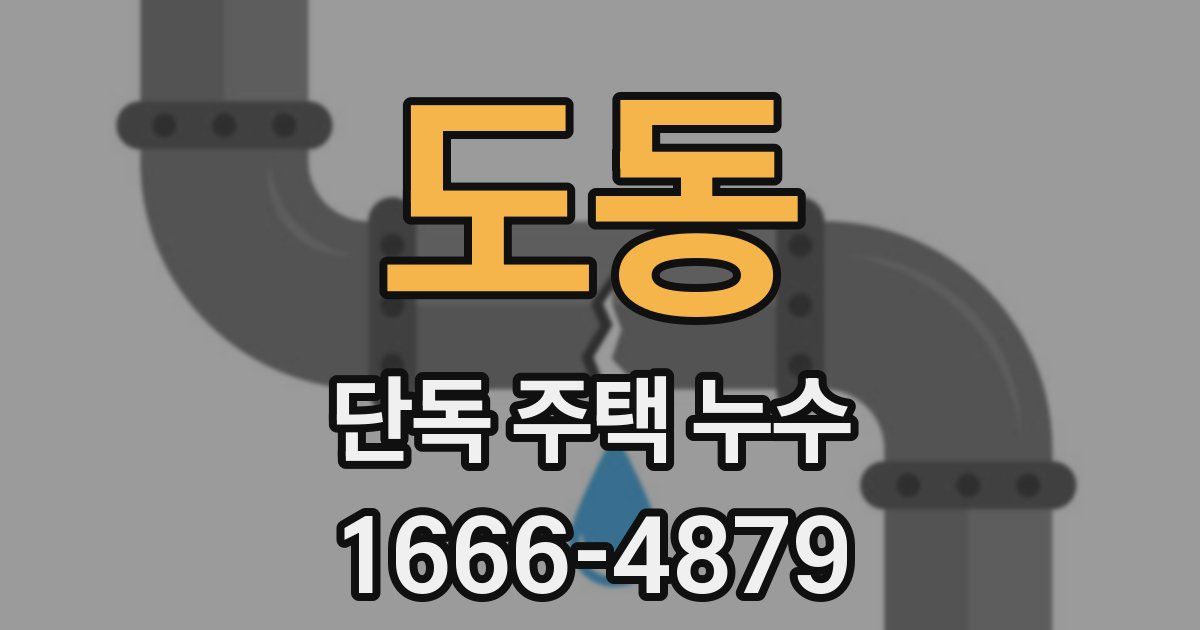 도동 단독 주택 누수