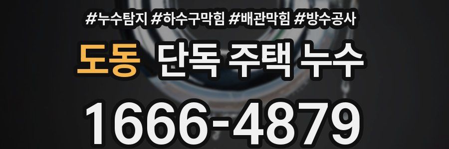 도동 단독 주택 누수