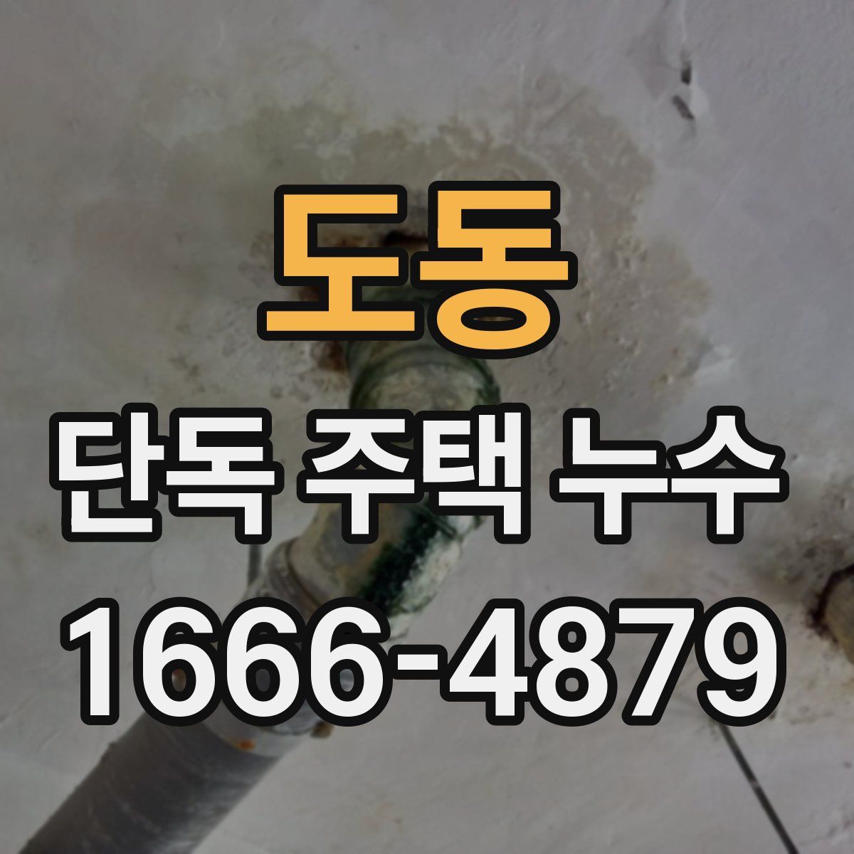 도동 단독 주택 누수