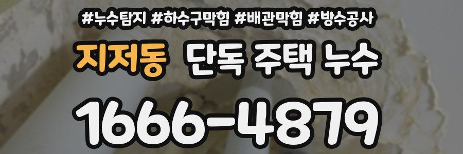 지저동 단독 주택 누수