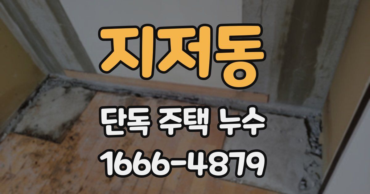 지저동 단독 주택 누수