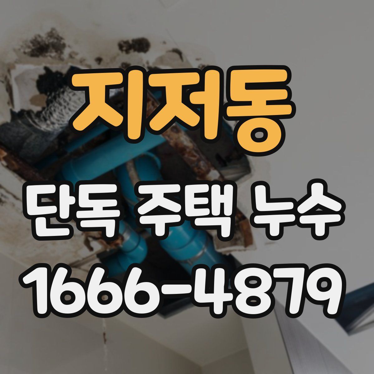지저동 단독 주택 누수