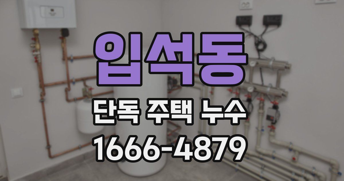 입석동 단독 주택 누수
