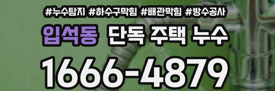 입석동 단독 주택 누수