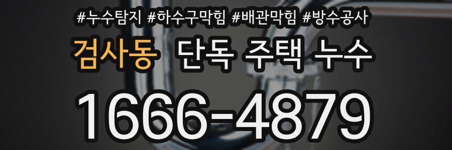 검사동 단독 주택 누수