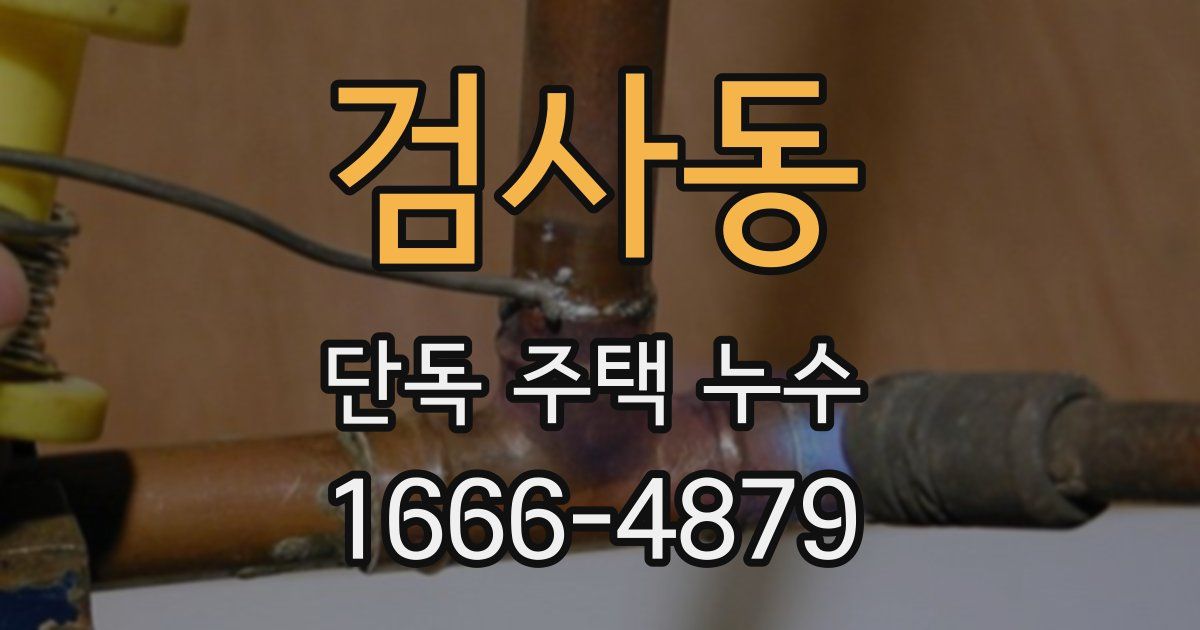 검사동 단독 주택 누수