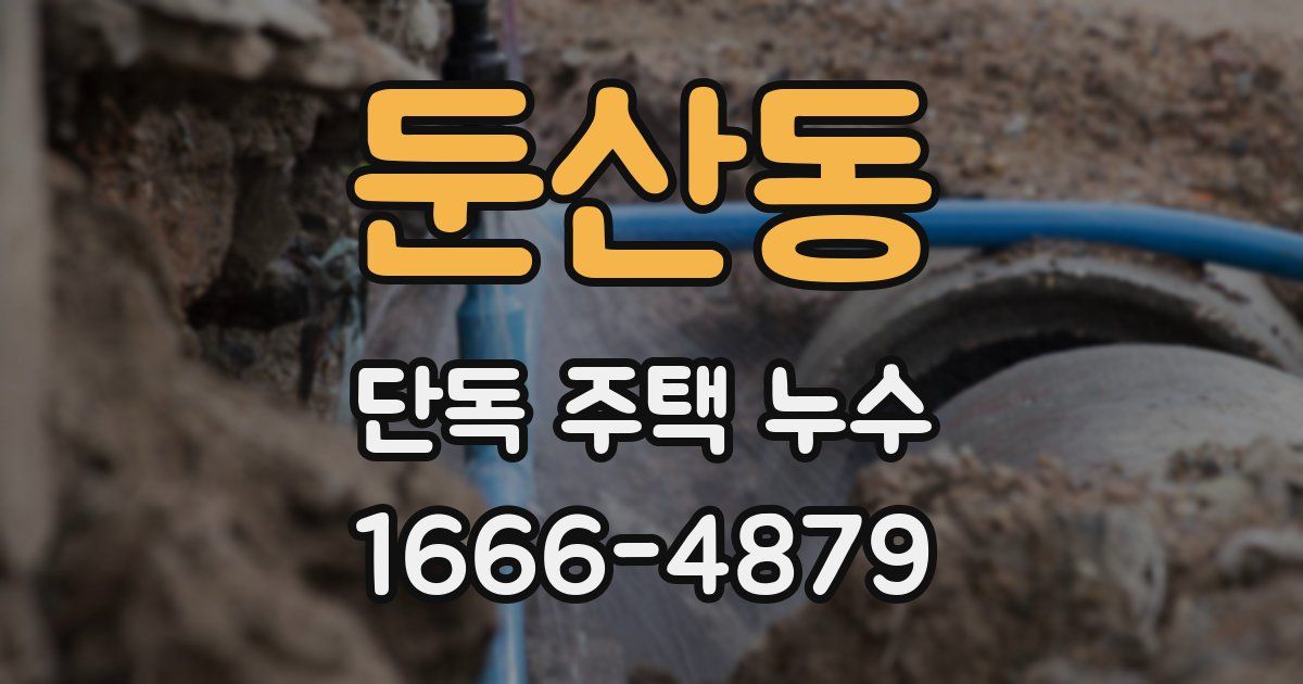 둔산동 단독 주택 누수