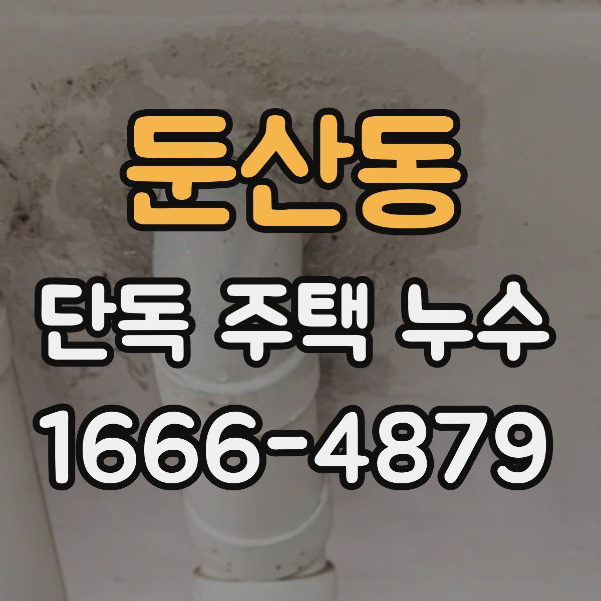 둔산동 단독 주택 누수