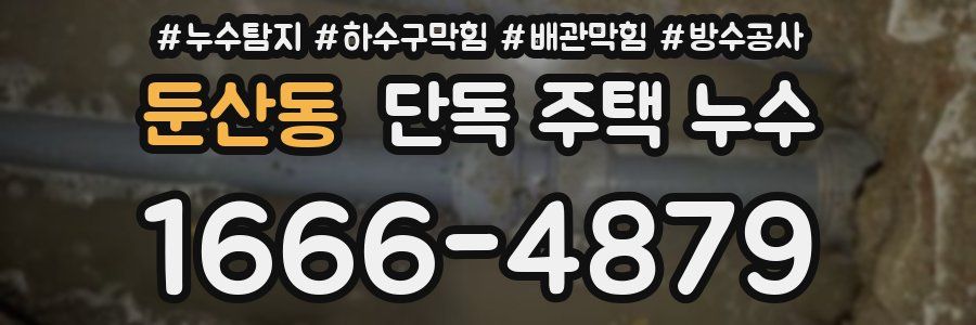 둔산동 단독 주택 누수
