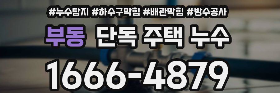 부동 단독 주택 누수