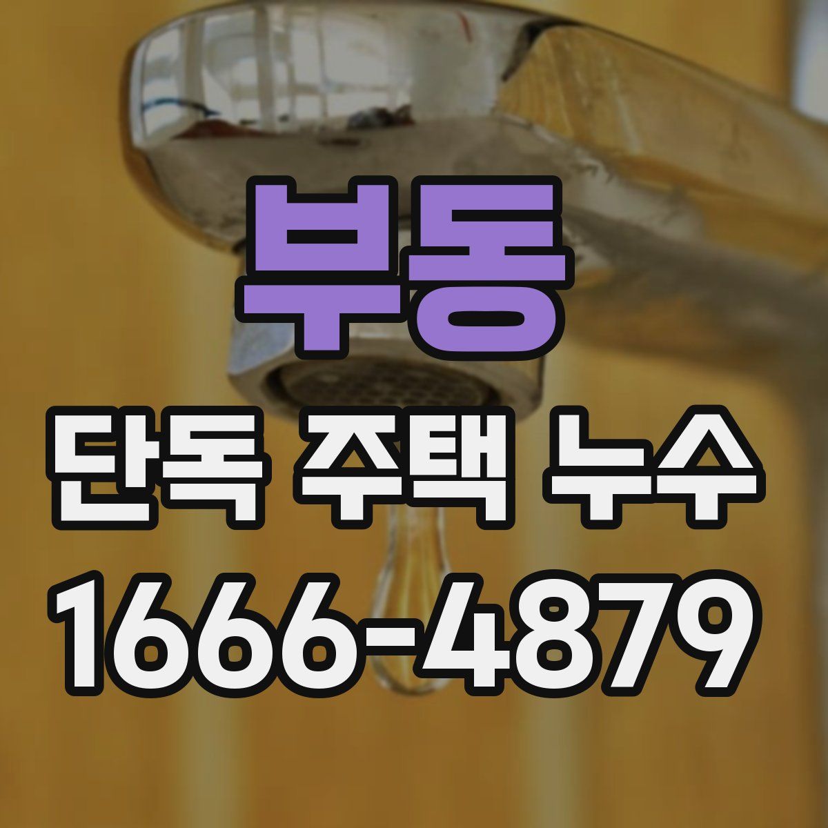부동 단독 주택 누수