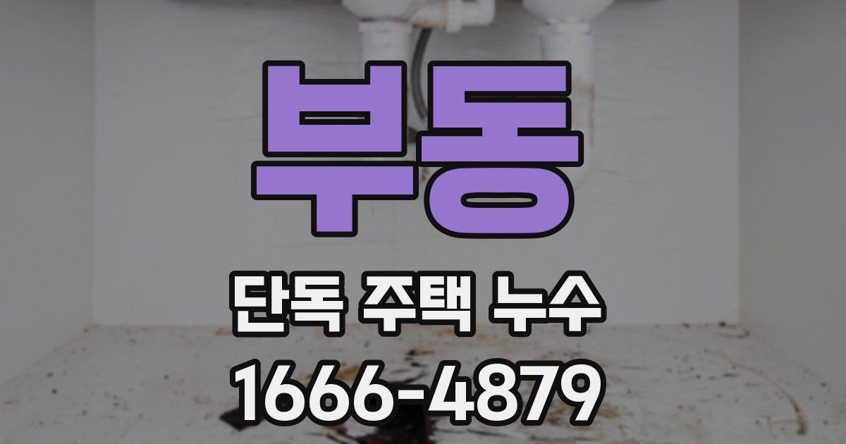 부동 단독 주택 누수