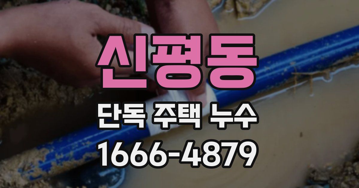 신평동 단독 주택 누수