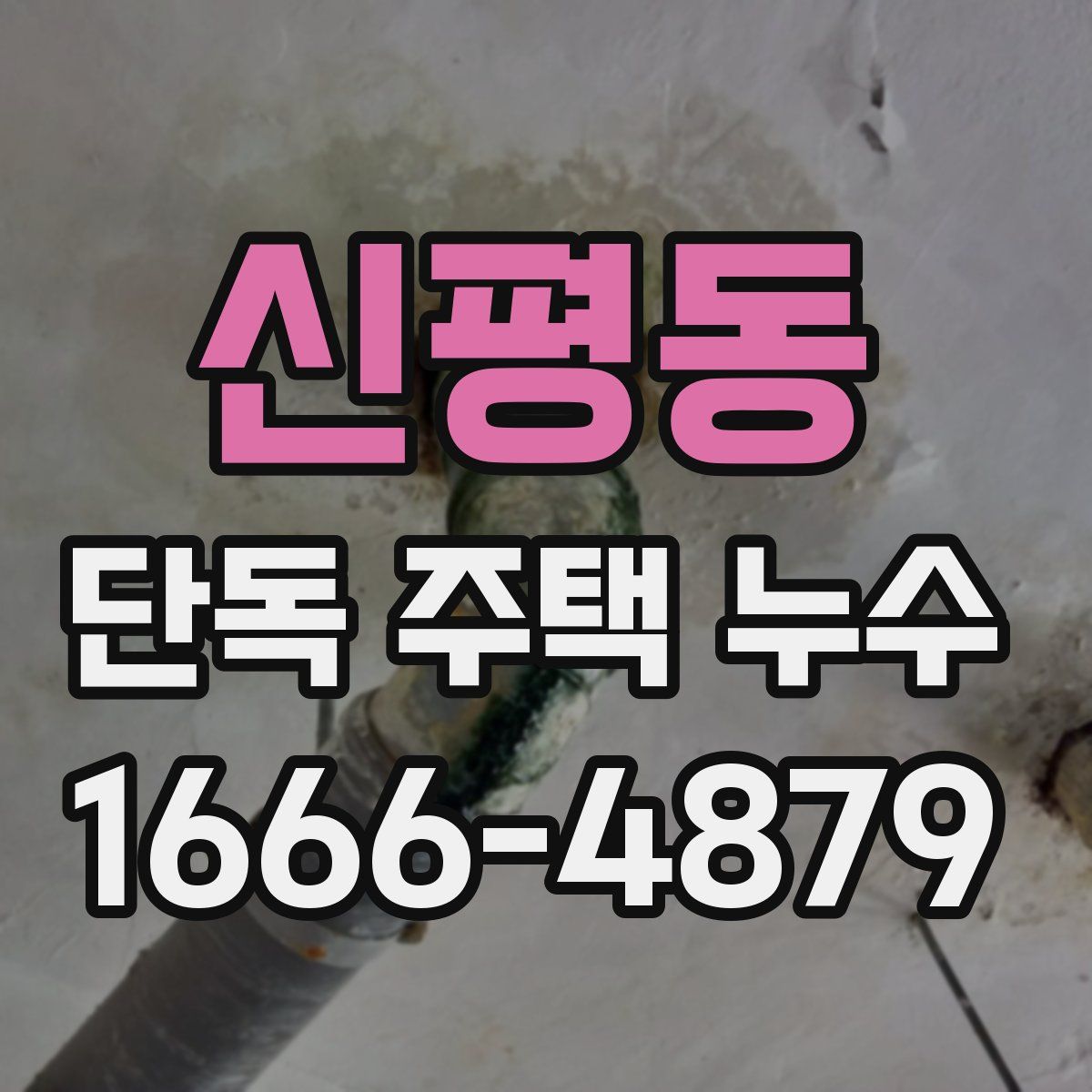 신평동 단독 주택 누수