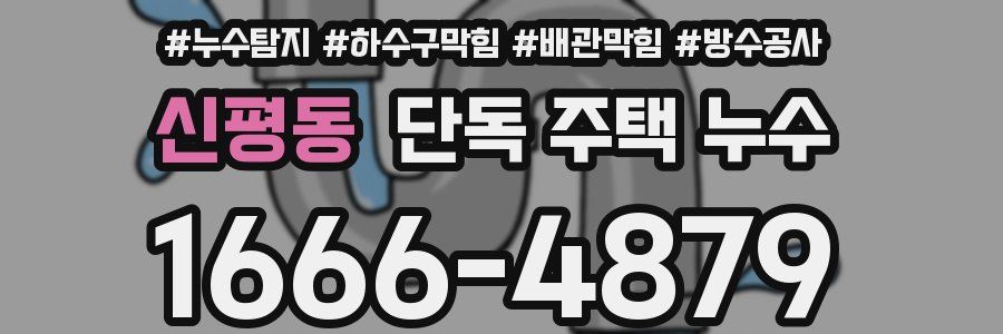 신평동 단독 주택 누수