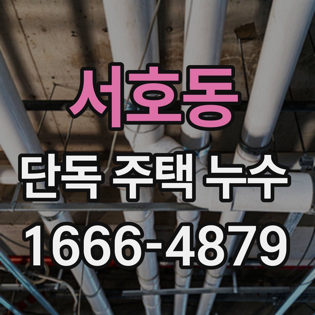 서호동 단독 주택 누수