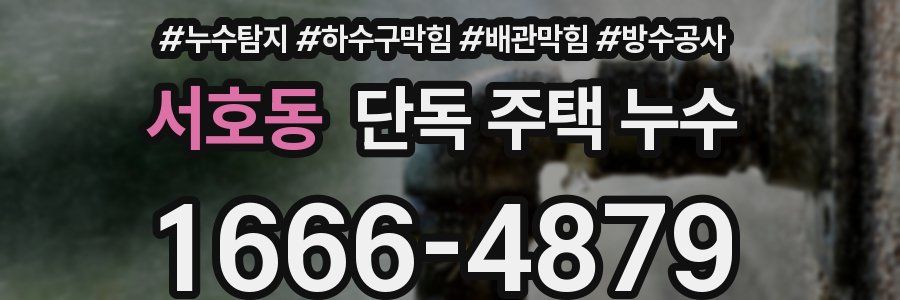 서호동 단독 주택 누수