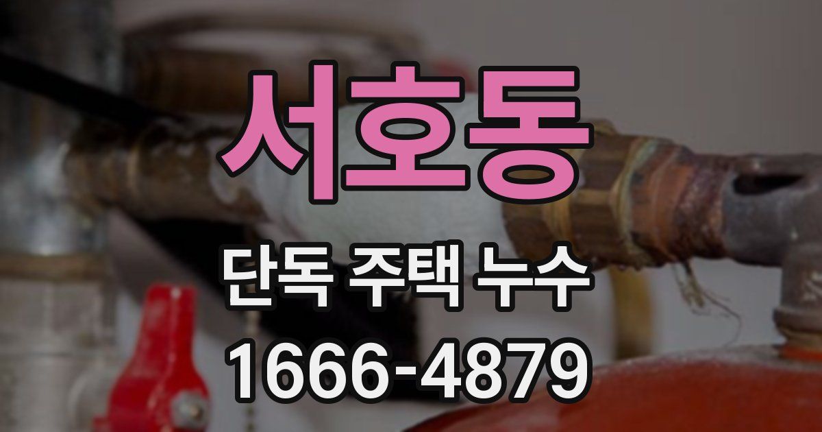서호동 단독 주택 누수