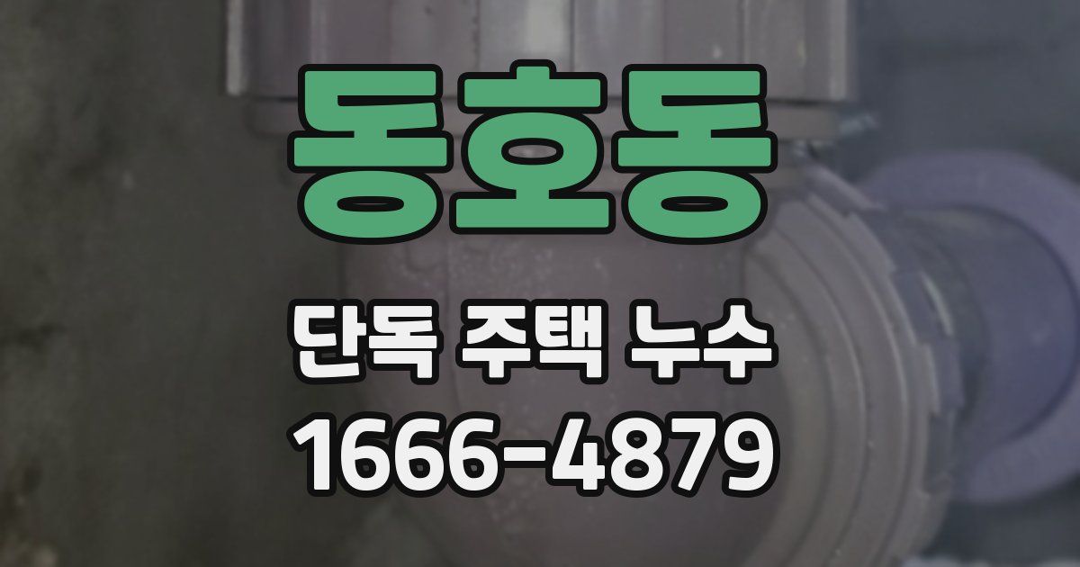 동호동 단독 주택 누수