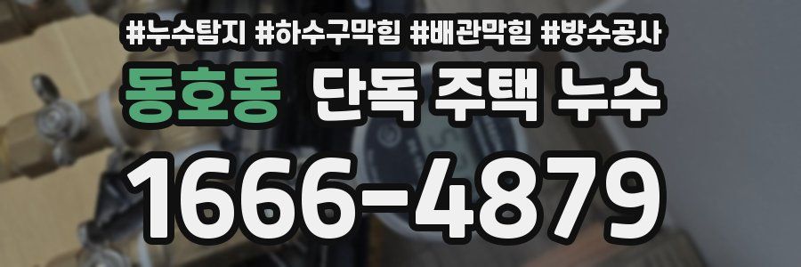 동호동 단독 주택 누수