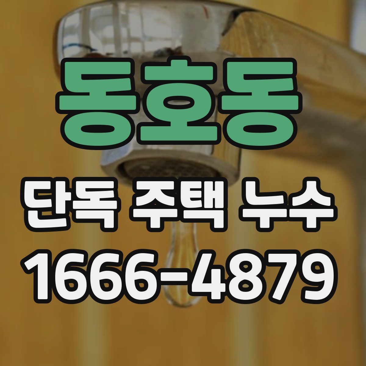 동호동 단독 주택 누수