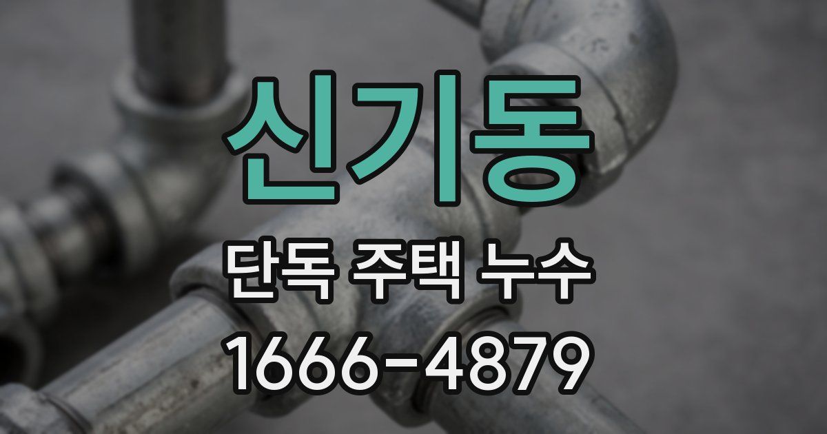 신기동 단독 주택 누수