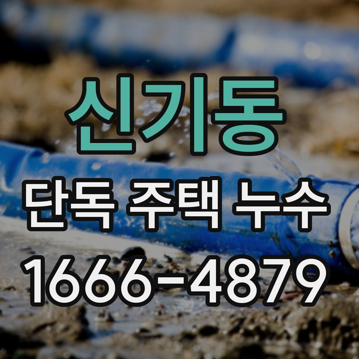 신기동 단독 주택 누수