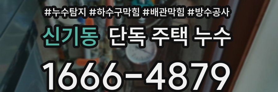 신기동 단독 주택 누수
