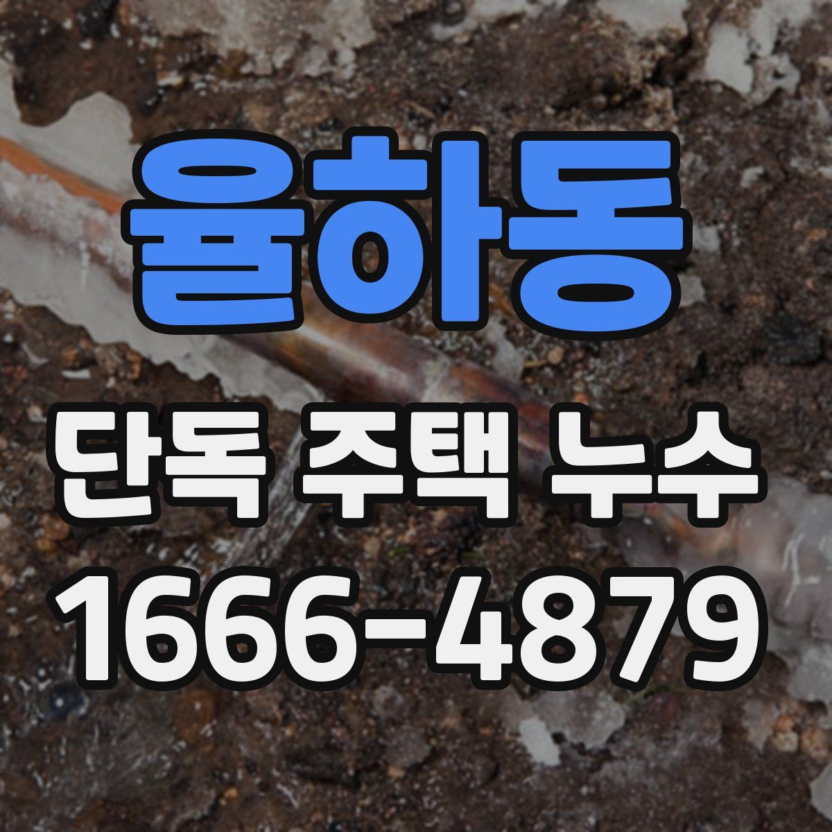 율하동 단독 주택 누수