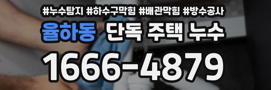 율하동 단독 주택 누수