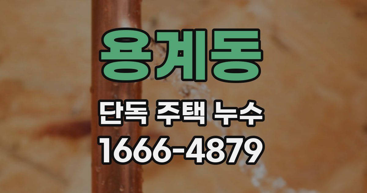 용계동 단독 주택 누수