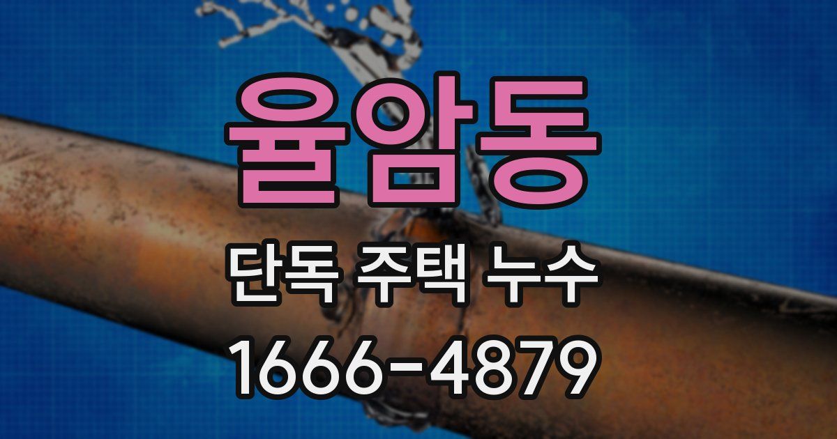 율암동 단독 주택 누수