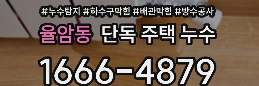 율암동 단독 주택 누수