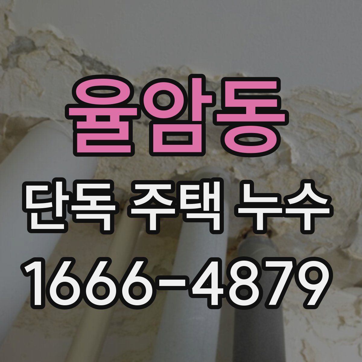 율암동 단독 주택 누수