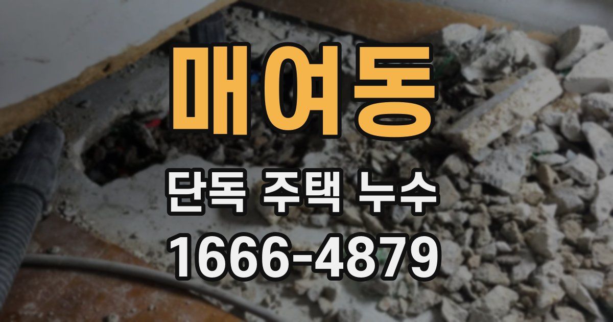 매여동 단독 주택 누수